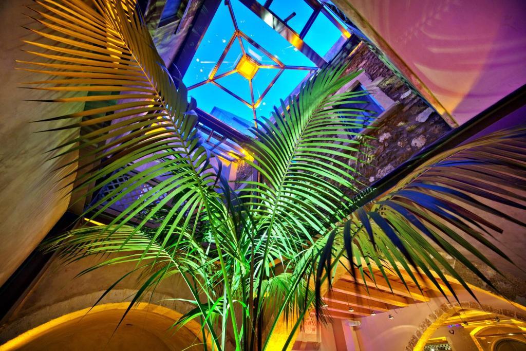 Elia Fatma Boutique Hotel (Adults Only) Chrissi Akti Chania Exterior foto